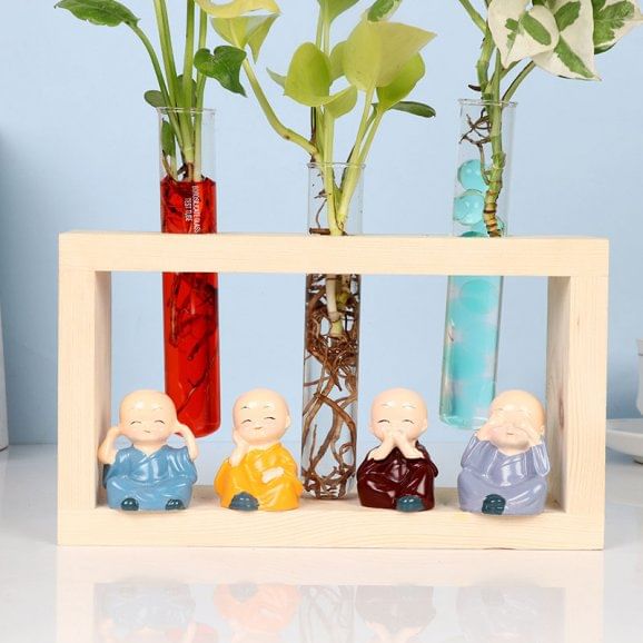 Order Test Tube Money Plants Online Trio