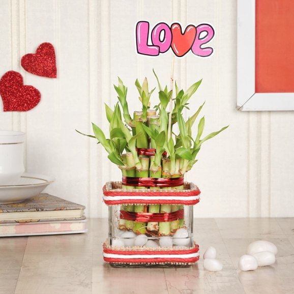 Two Layer Bamboo Love