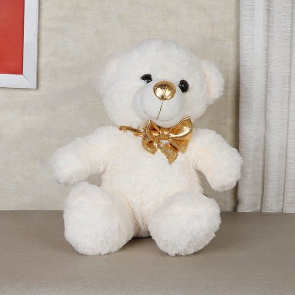 Buy Teddy Online