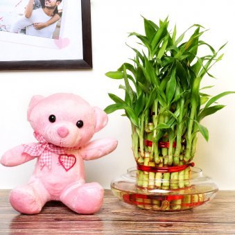 Teddy with 3 layer bamboo