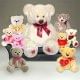 Lots Of Teddies