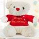 Cute Anniversary Teddy in Red T-shirt