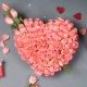 Arrangement of 75 pink roses in the shape of heart