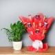 Choco Peace Lily Combo - Air Purifying Plant Indoors in Floweraura Rihonda Vase Bouquet of 10 Mixed Chocolates