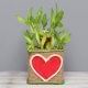 Two Layer Bamboo in Jute Packing with Printed Heart