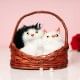 White Soft Toy Kitty Couple in a Basket