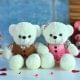 Lovey Dovey Valentine Couple Teddy Gifts
