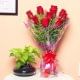 Money Plant With Roses - Good Luck Plant Indoors in Potpourri Vase with Bunch of 10 Red Roses
