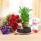 Cake and flowers with chocolates alongwith lucky bamboo and teddy 