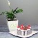 Peace Lily Plant with Blackforest Cake Combo for Mom