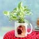 Money Plant in Personalised Mug