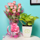 Rosey Money Plant Combo - Good Luck Plant Indoors in FlowerAura Chatura Vase with Bunch of 10 Pink Roses
