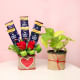 Silver Dollar Luscious Combo Of Plant, Chocolates And Roses