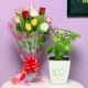 Succulent Plant N Flower - Foliage Plant Indoors in FlowerAura Chatura Vase with Bunch of 10 Mixed Roses