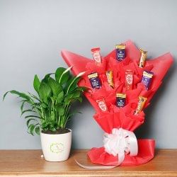 Choco Peace Lily Combo - Air Purifying Plant Indoors in Floweraura Rihonda Vase Bouquet of 10 Mixed Chocolates