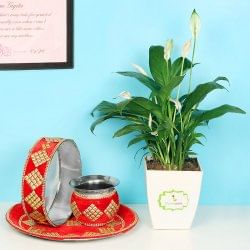 Karwa Chauth Peace Lily Plant Combo