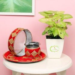 Karwa Chauth Syngonium Plant Combo