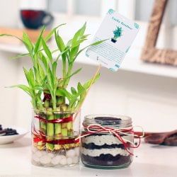 2 Layer Bamboo and Oreo Jar Cake Combo