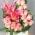 zoom view Pink Flowers Arrangement in White Box