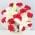 12 Red Carnations and 2 Lilies with Zoomed in View