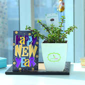 Succluent New Beginnings - Succulent and Cactus Plant Outdoors in Chatura Vase with New Year Greeting Card