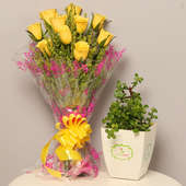 Succulent Mangoish Combo - Succulent and Cactus Outdoor Plants in FlowerAura Chatura Vase with Bunch of 10 Yellow Roses