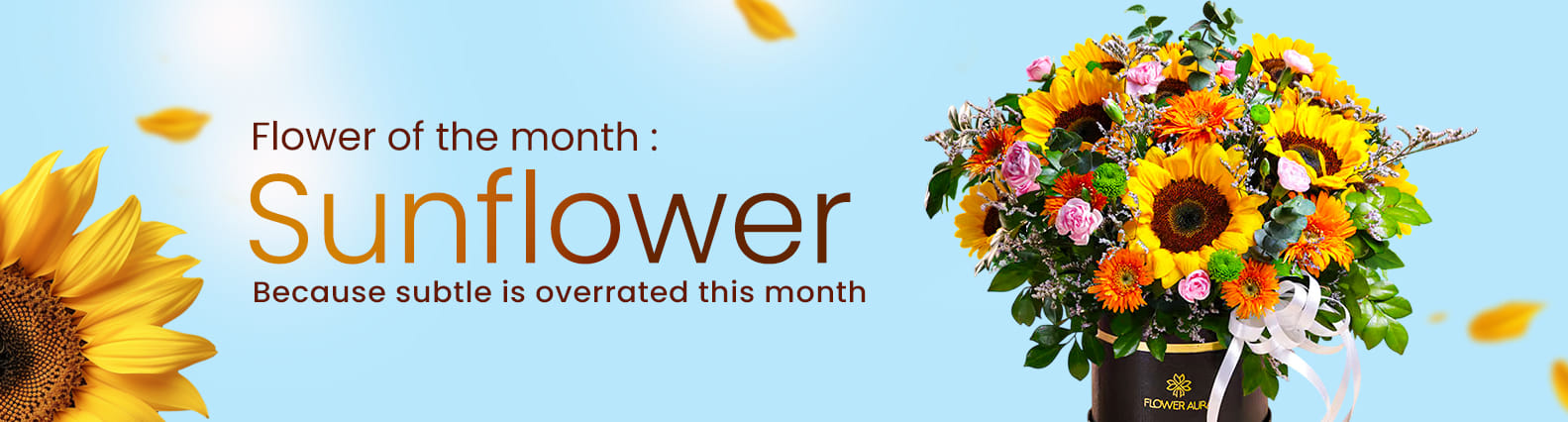 Flower of the month: Sunflower