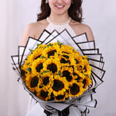 Sunflower Sunshine Wrapped In Moonlight