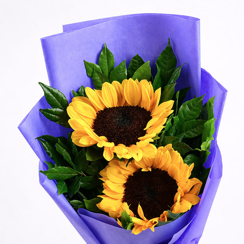 Product Image Video