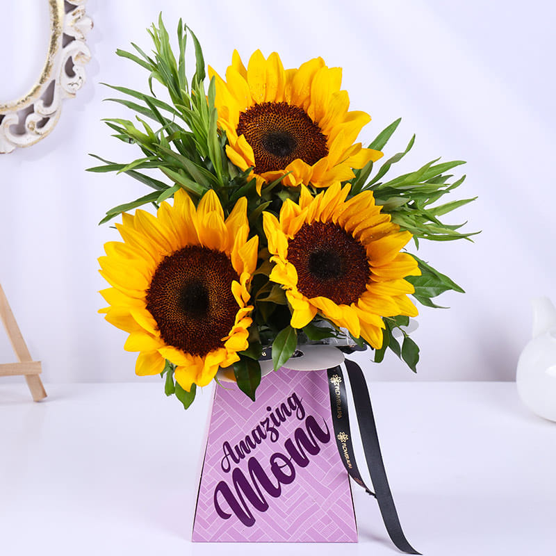 Product Image Video