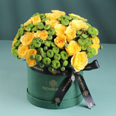 Sunlit Joy In Blooms