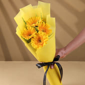 Sunny Glow 4 Yellow Gerberas