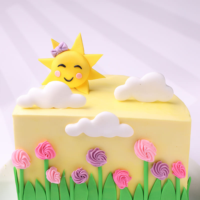 Sunny Meadow Half Cake