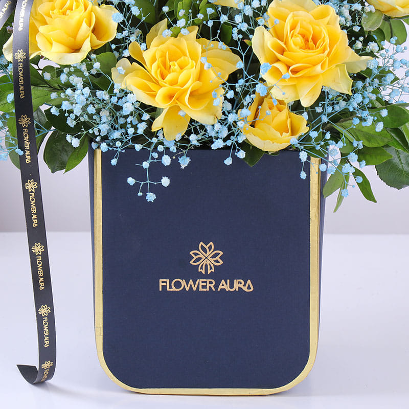 Product Image Video