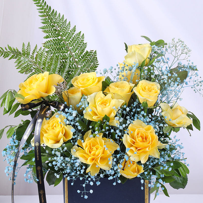 Product Image Video