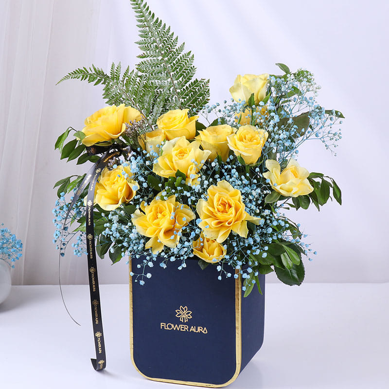 Product Image Video