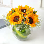 Sunny Sunflower In Fish Bowl For Valentines Day