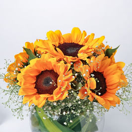 Sunflowers bouquet Online delivery in India - FlowerAura | FlowerAura