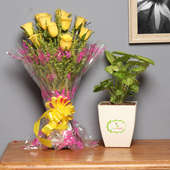 Sunrise Foliage Combo - Foliage Plant Indoors in FlowerAura Chatura Vase with Bunch of 10 Yellow Roses