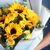 Sunshine Draped In Blue Sky