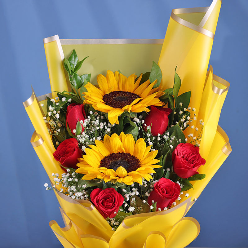 Product Image Video