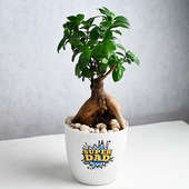 Send Super Dad Ficus Bonsai Plant Online 
