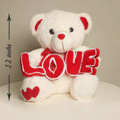 Teddy Bear for Valentine Day