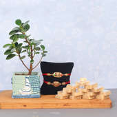 Ficus Iceland Plant with Rakhi and Sweets