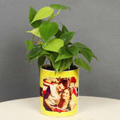 Sweet Heart Plant - Air Purifying Plant Indoors in Mug Personalized Vase