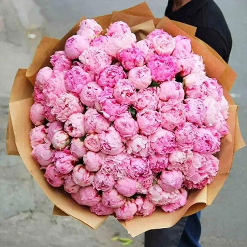 Sweet Harmony Of Peonies
