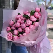 Tender Pink Peony Blooms