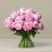 Sweet Blush Peony Bunch