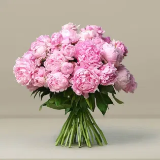 Sweet Blush Peony Bunch