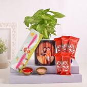 Syngonium Choco Rakhi Delight